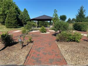 Town Hall Park